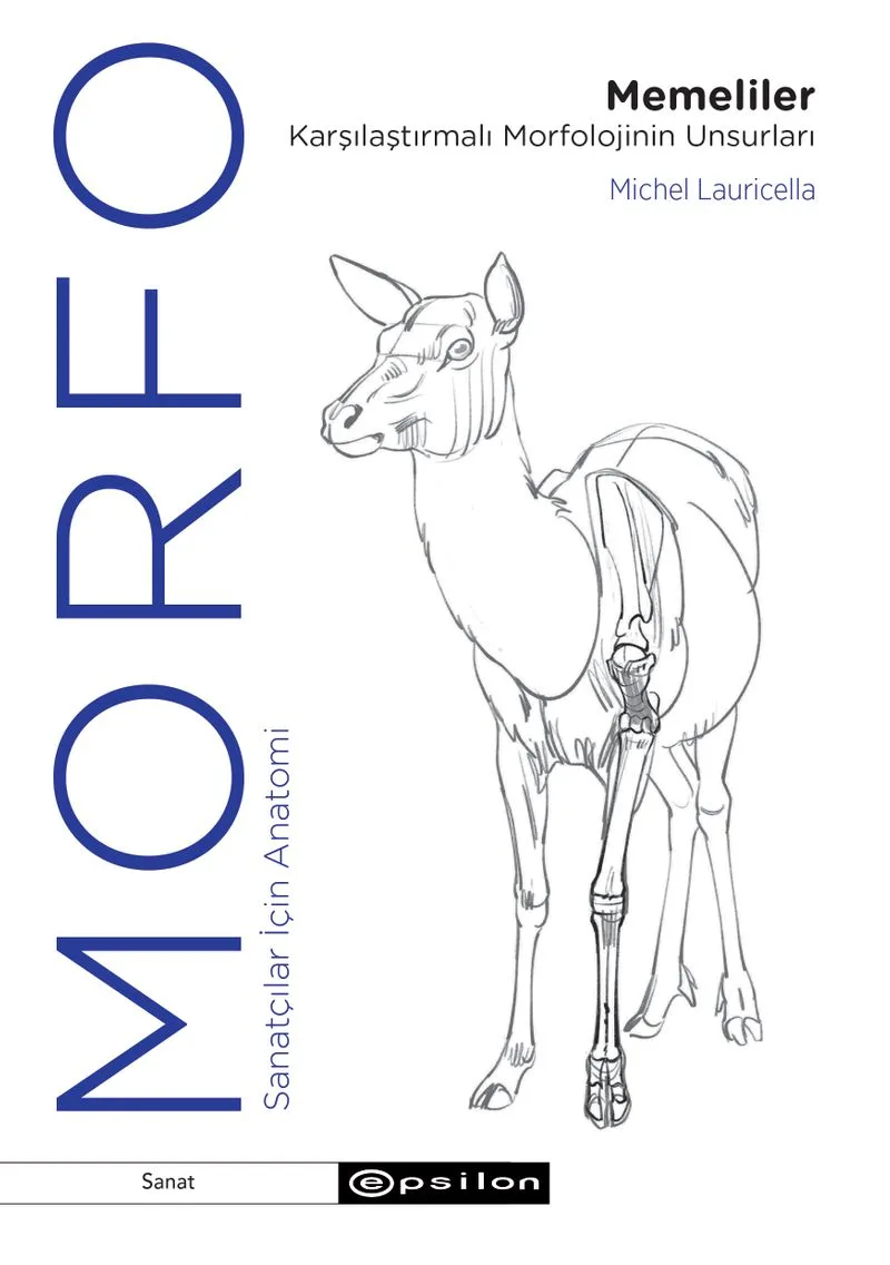 Morfo Memeliler Karşılaştırmalı Morfolojinin Unsurları