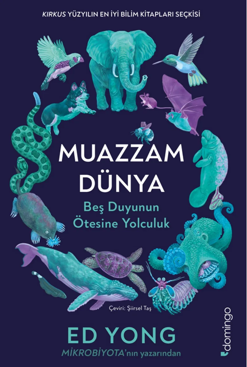 Muazzam Dünya: Beş Duyunun Ötesine Yolculuk