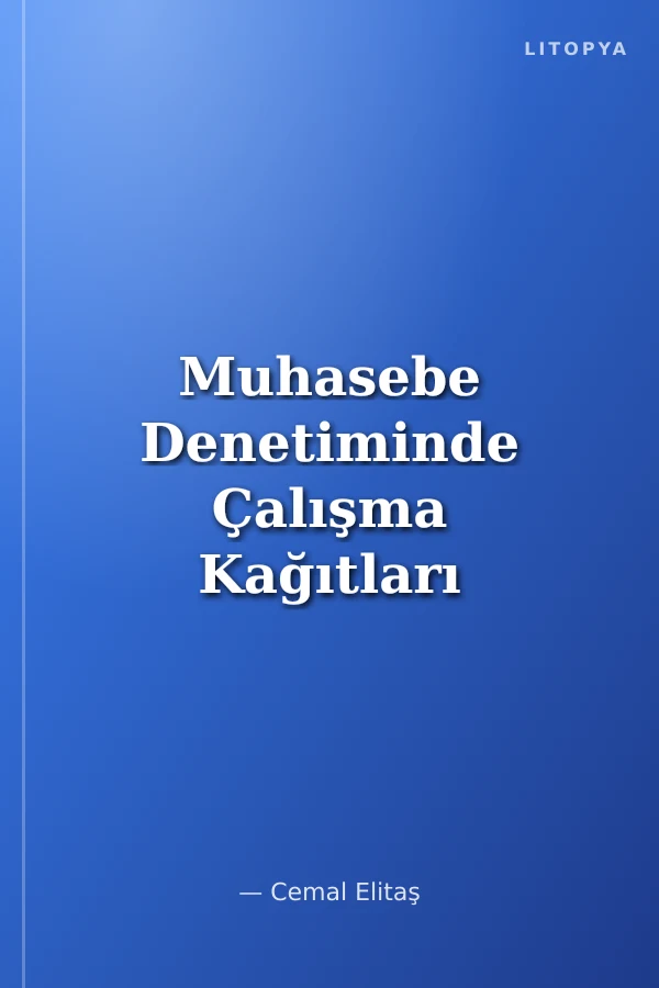 Muhasebe Denetiminde Çalışma Kağıtları