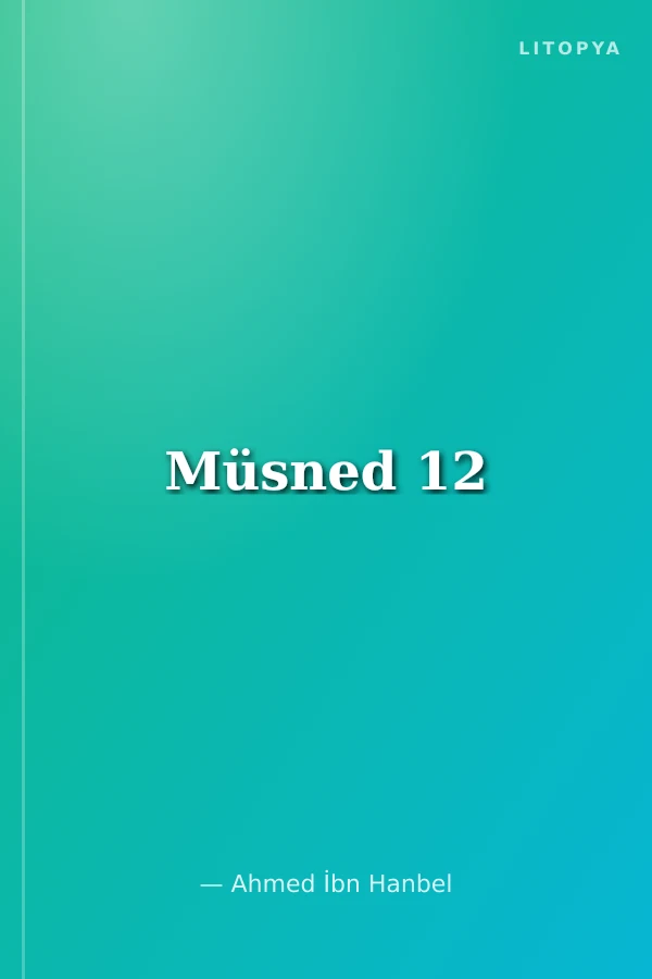 Müsned 12