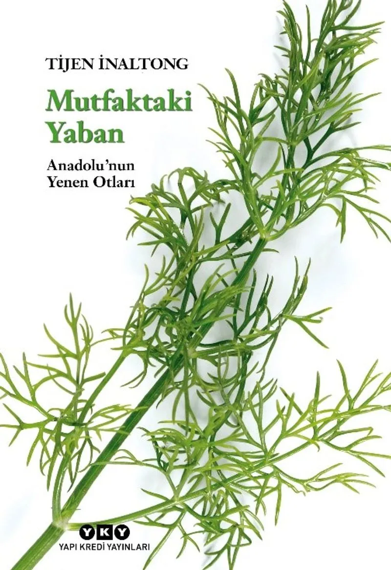 Mutfaktaki Yaban Anadolu'nun Yenen Otları