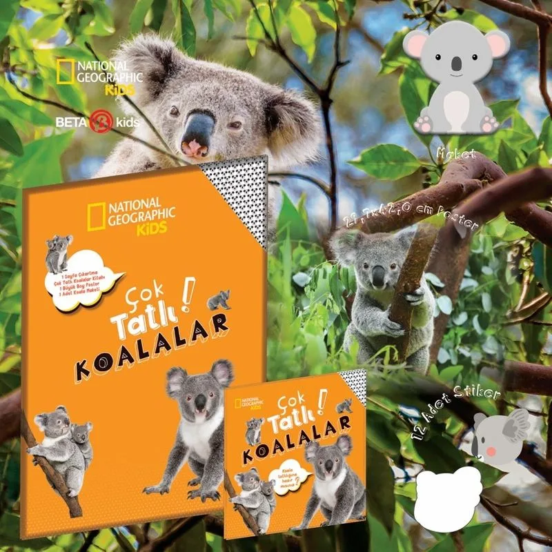 National Geographic Kids - Çok Tatlı Paket - Çok Tatlı Koalalar
