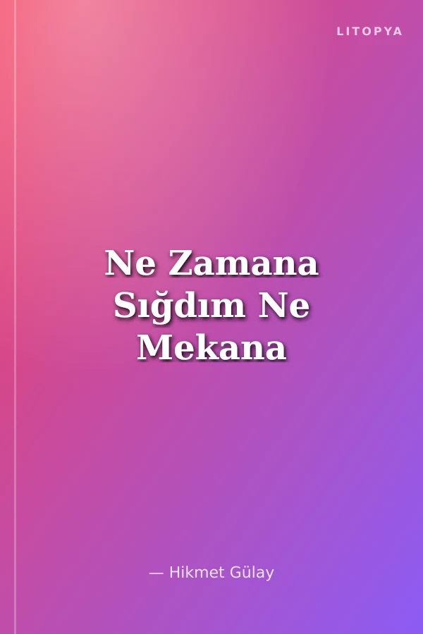 Ne Zamana Sığdım Ne Mekana