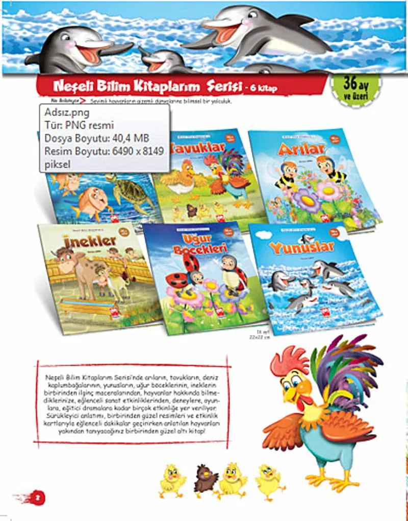 Neşeli Bilim Kitapları Serisi 6 Kitap