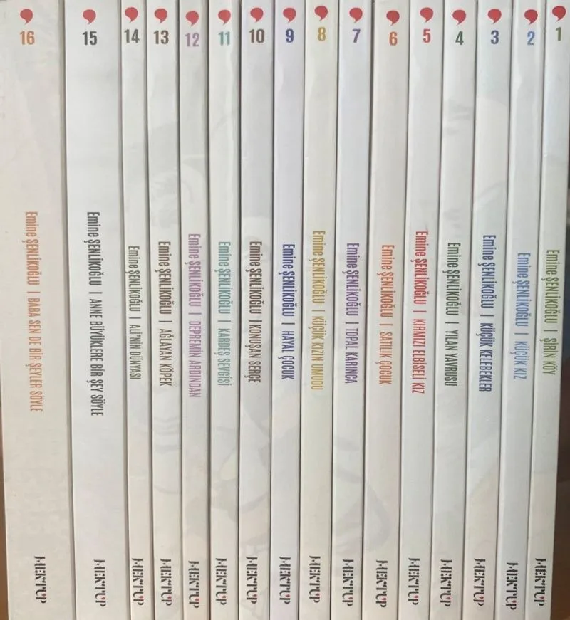 Nesillerin Öyküsü (Emine Şenlikoğlu) (16 Kitap)
