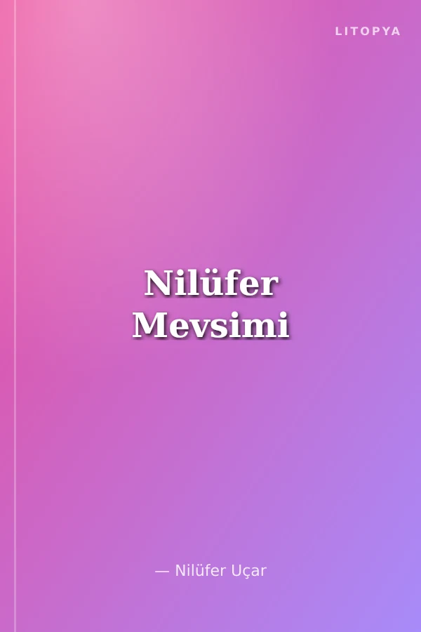 Nilüfer Mevsimi