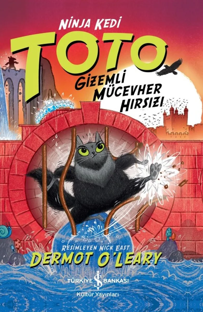 Ninja Kedi Toto Gizemli Mücevher Hırsızı