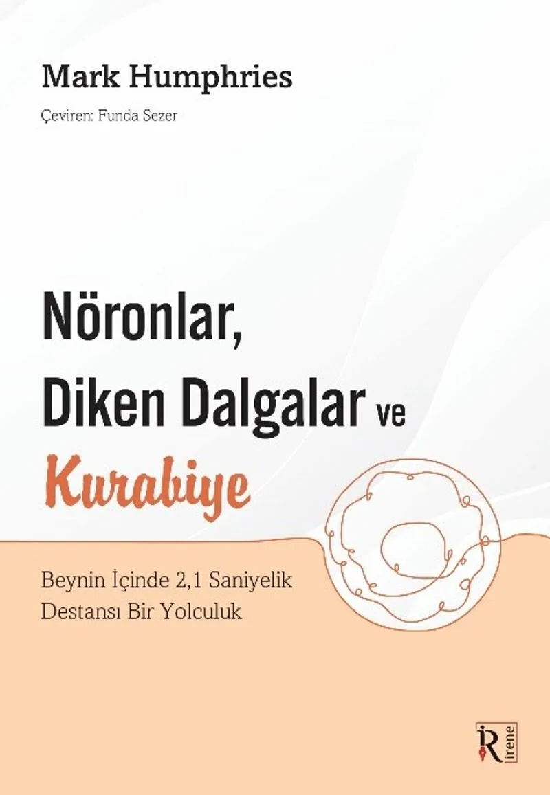 Nöronlar, Diken Dalgalar ve Kurabiye Beynin İçinde 2,1 Saniyelik Destansı Bir Yolculuk