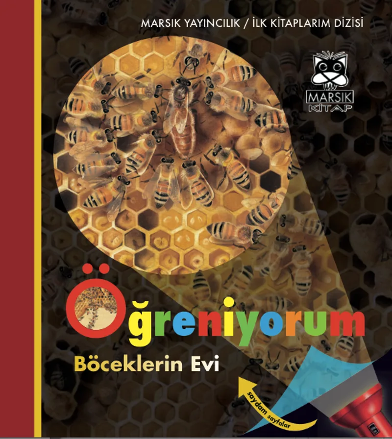 Öğreniyorum Böceklerin Evi (Ciltli)