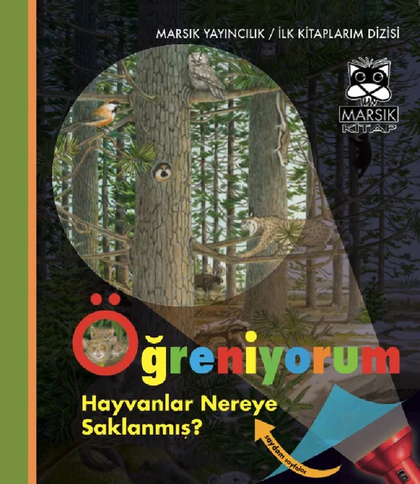 Öğreniyorum / Hayvanlar Nereye Saklanmış?