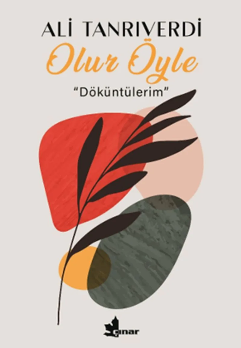 Olur Öyle Döküntülerim