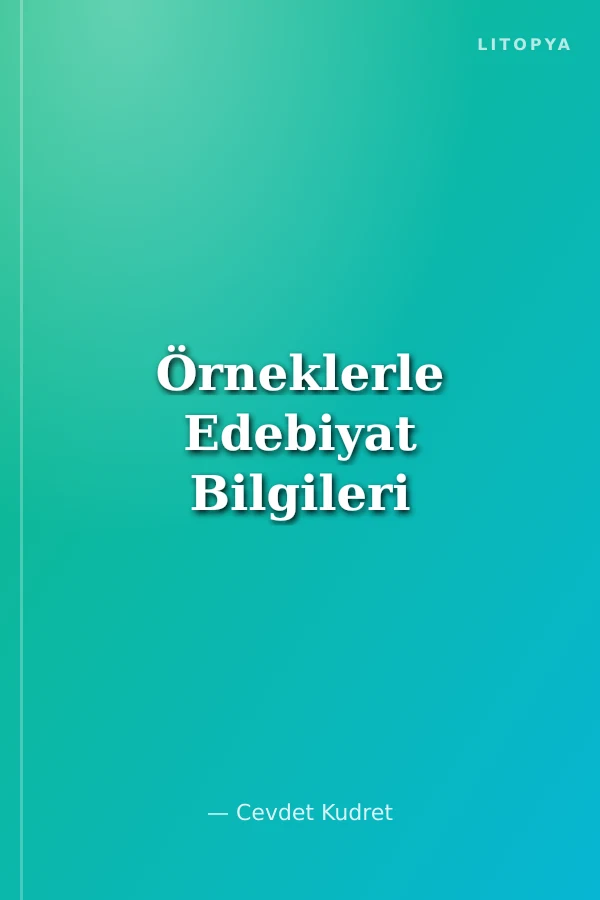 Örneklerle Edebiyat Bilgileri