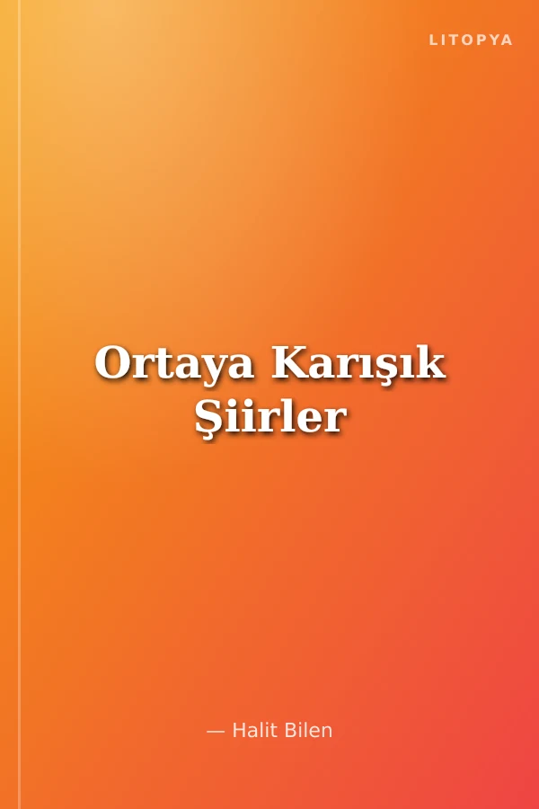 Ortaya Karışık Şiirler