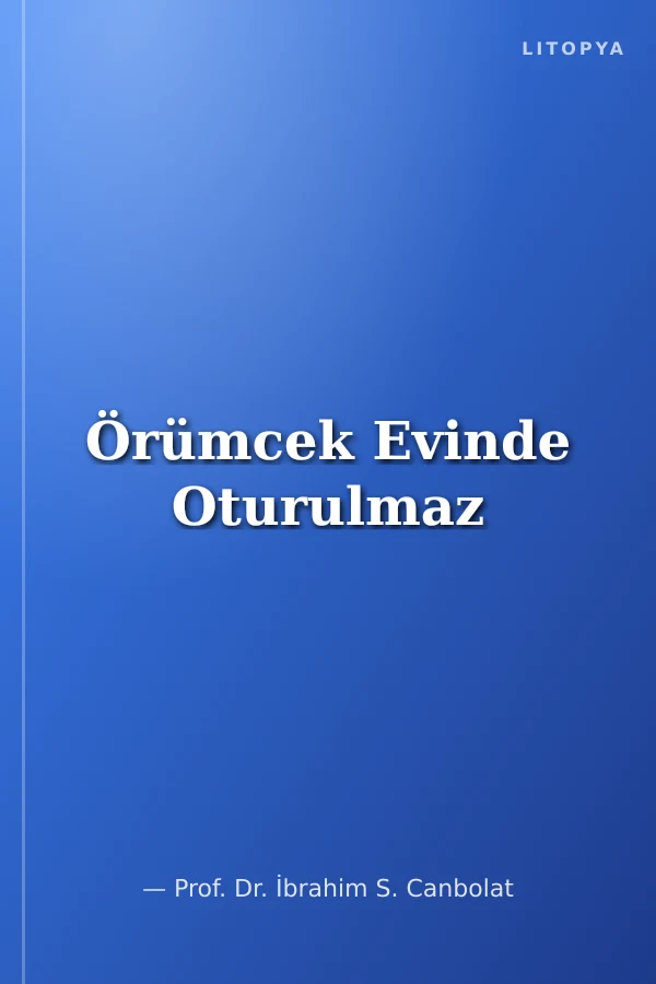 Örümcek Evinde Oturulmaz
