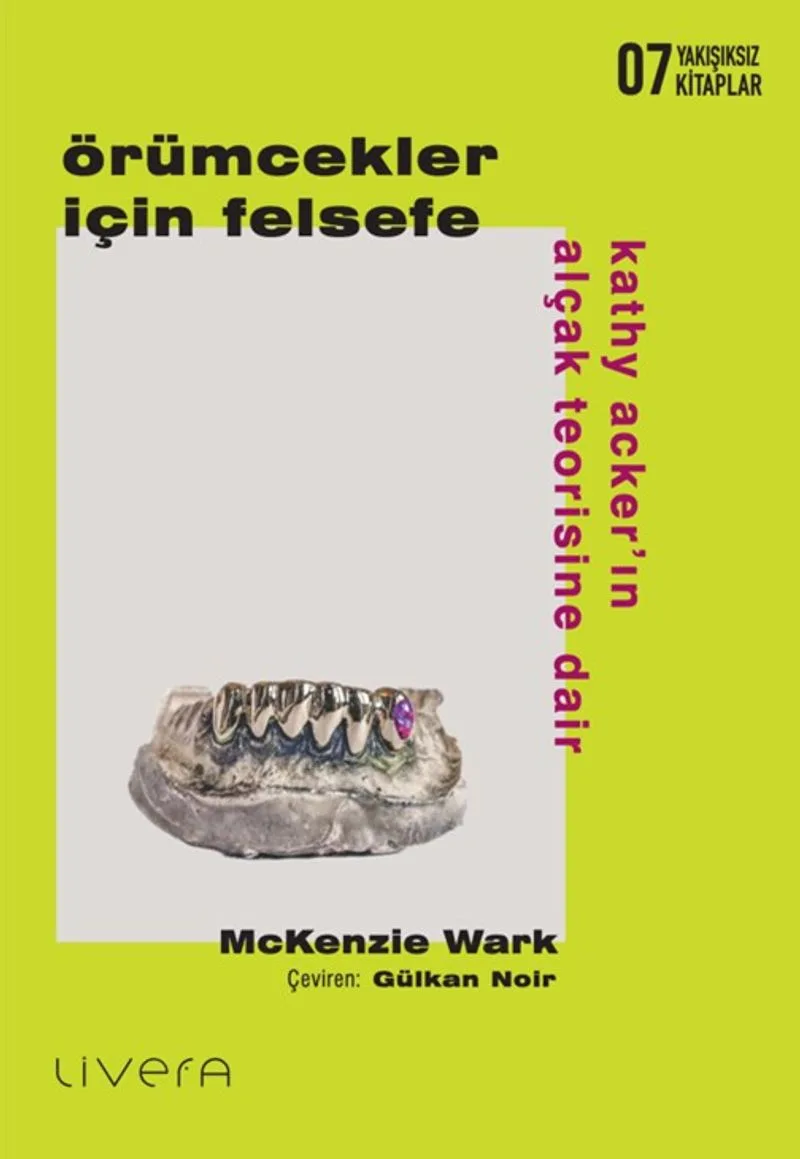 Örümcekler İçin Felsefe: Kathy Acker'ın Alçak Teorisine Dair
