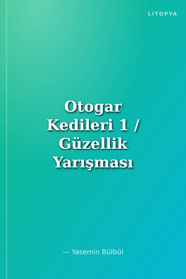 Otogar Kedileri 1 / Güzellik Yarışması