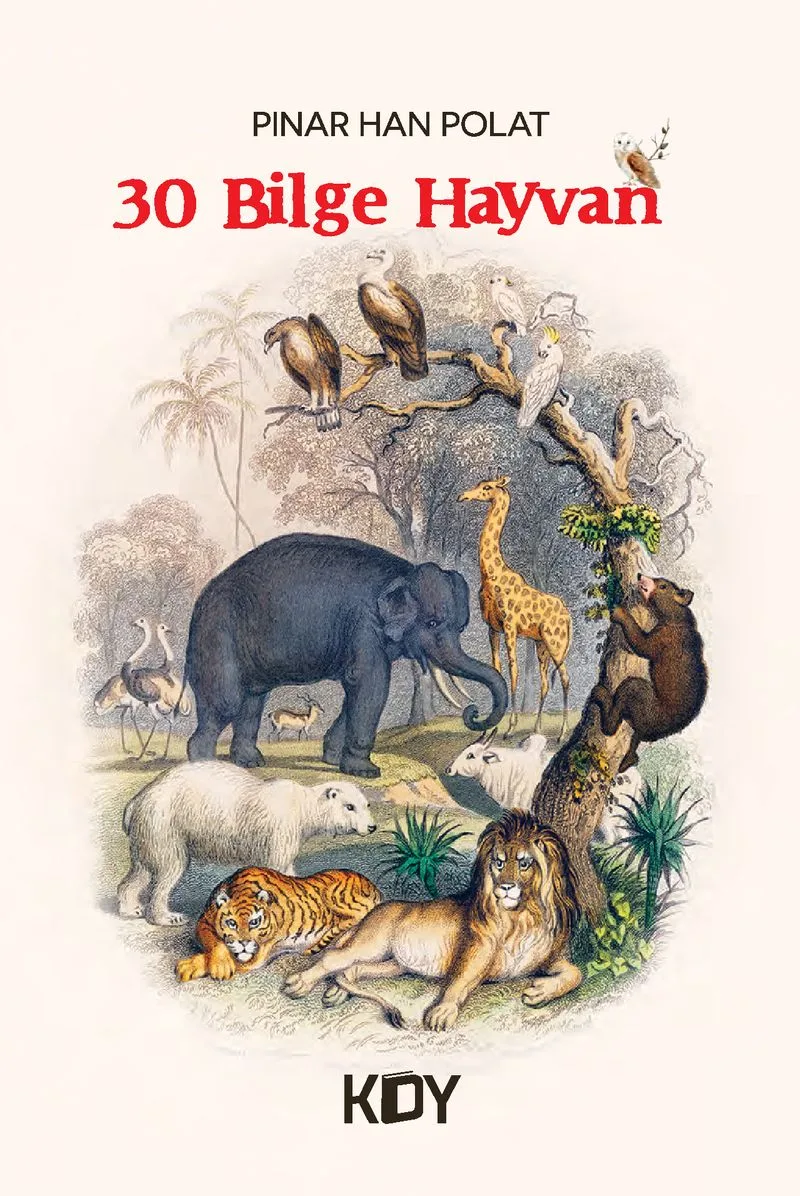 Otuz Bilge Hayvan
