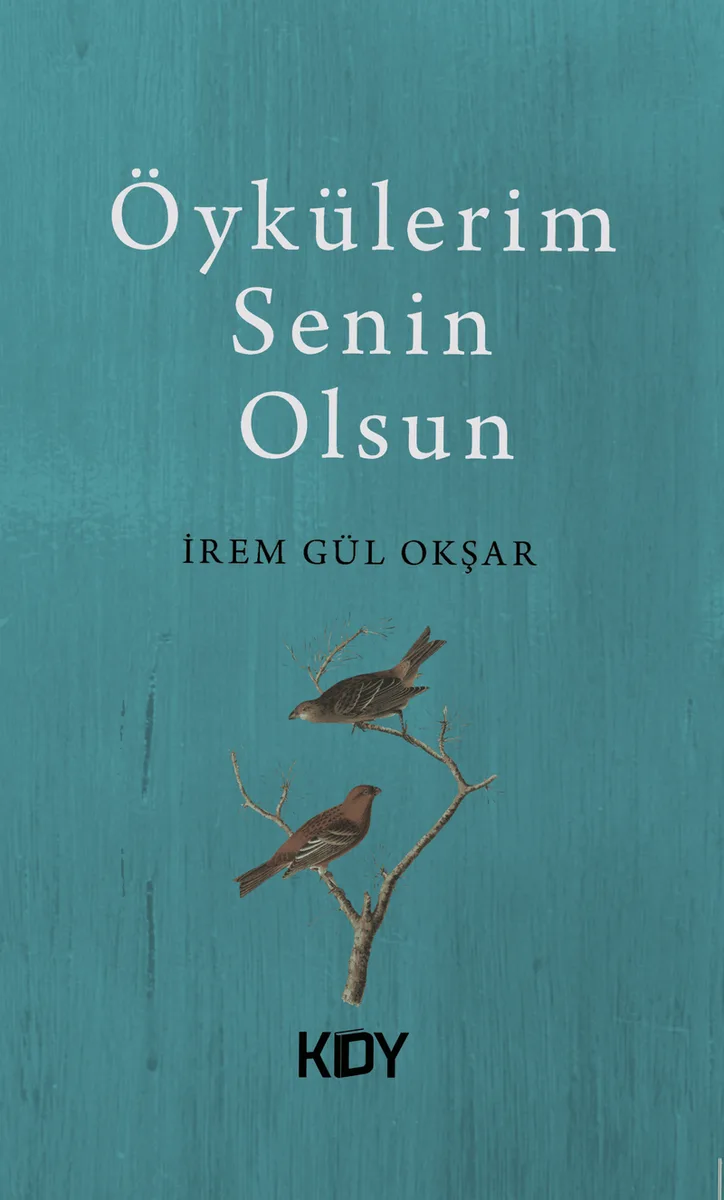 Öykülerim Senin Olsun