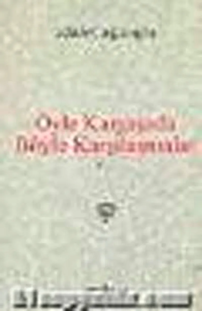 Öyle Kargaşada Böyle Karşılaşmalar (Ciltli)