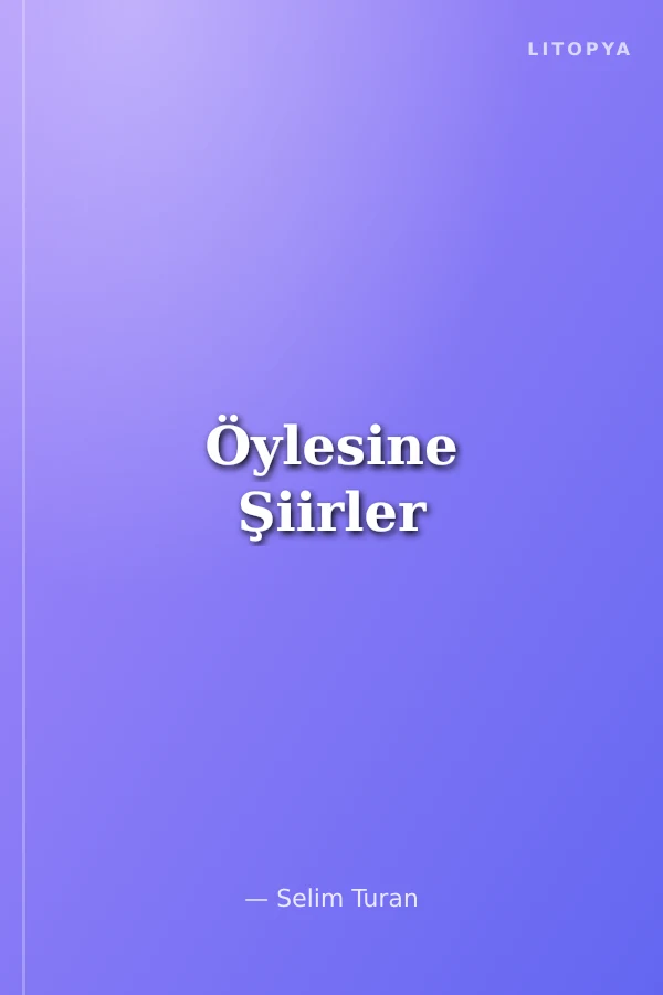 Öylesine Şiirler