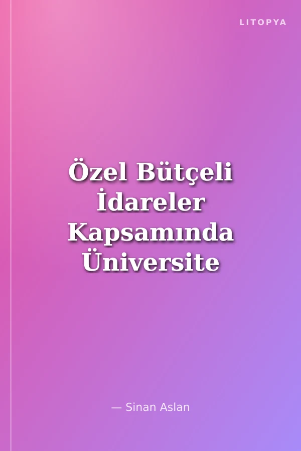 Özel Bütçeli İdareler Kapsamında Üniversite Muhasebesi