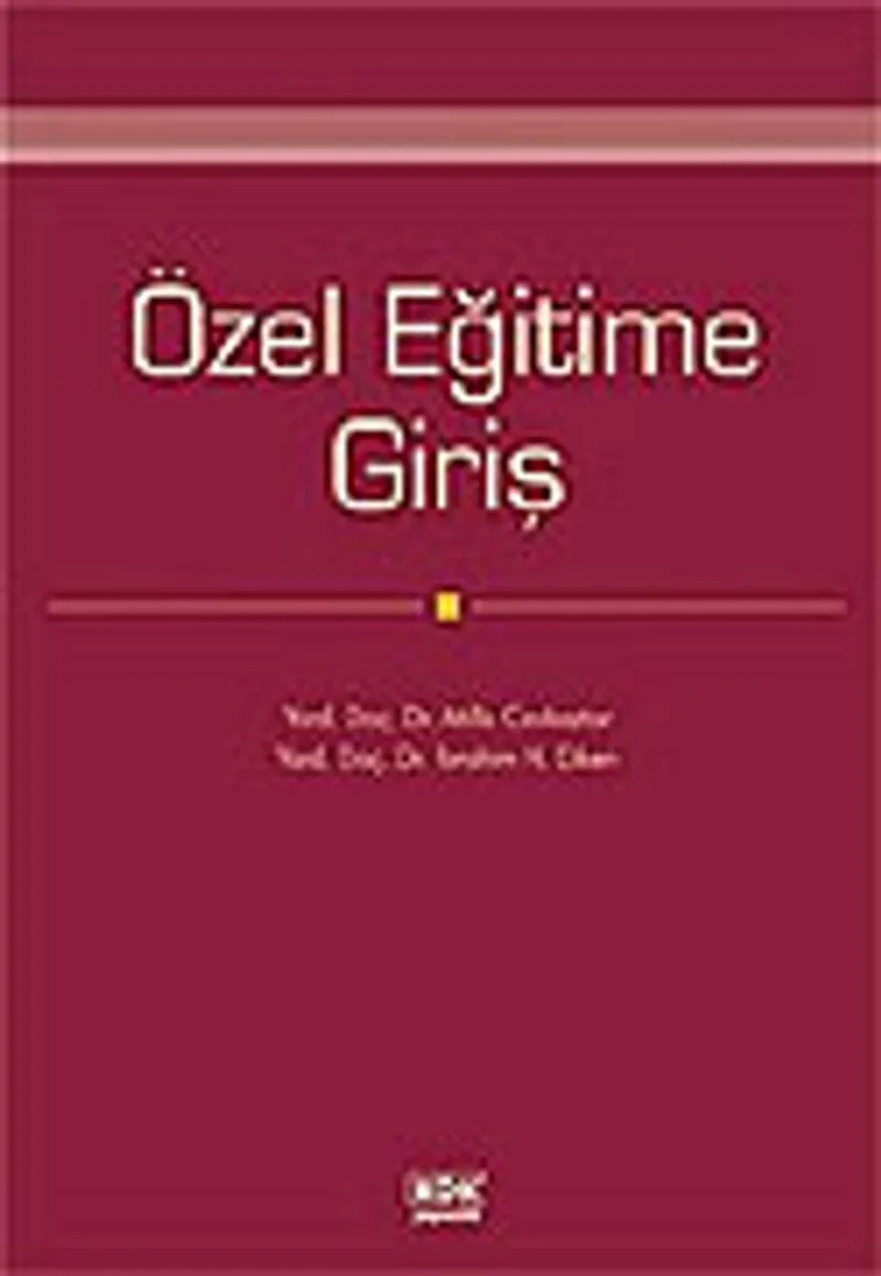 Özel Eğitime Giriş