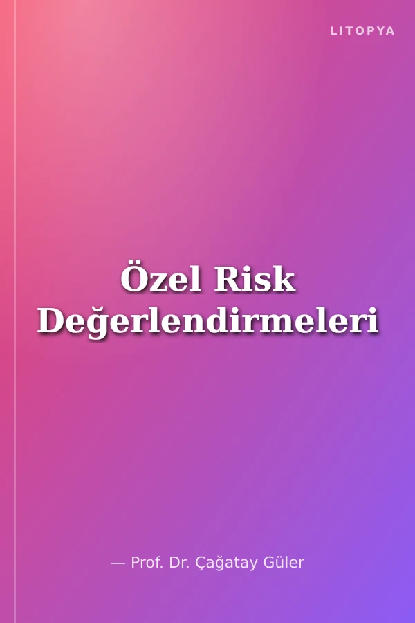 Özel Risk Değerlendirmeleri