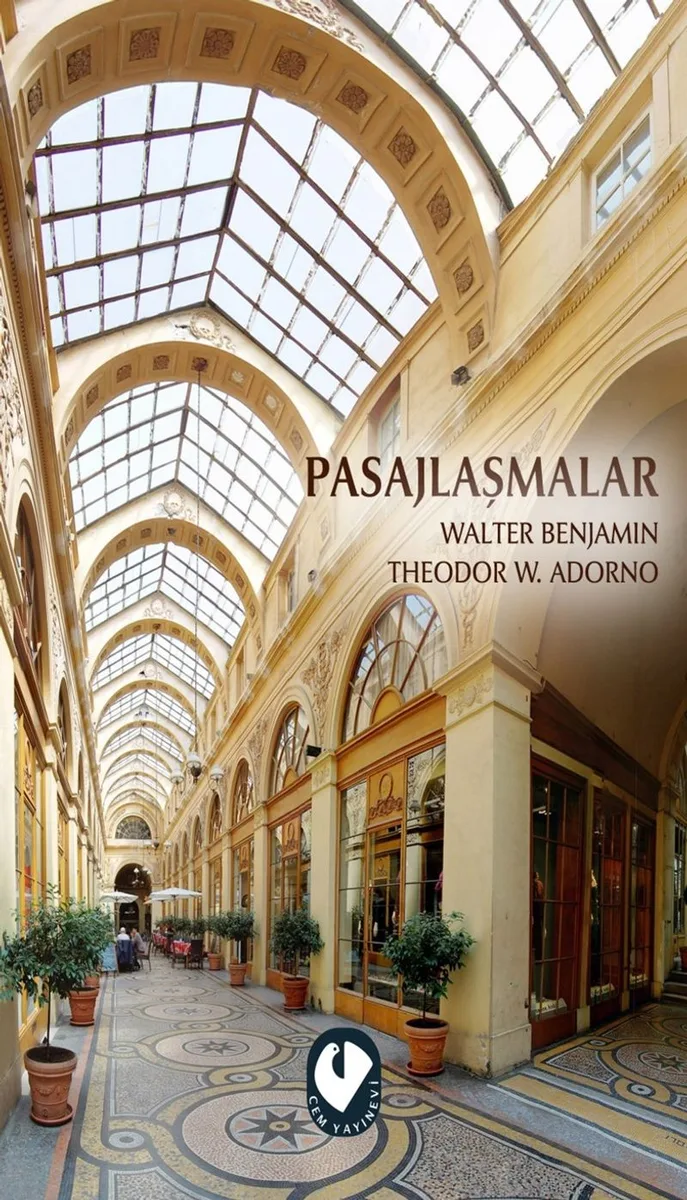 Pasajlaşmalar