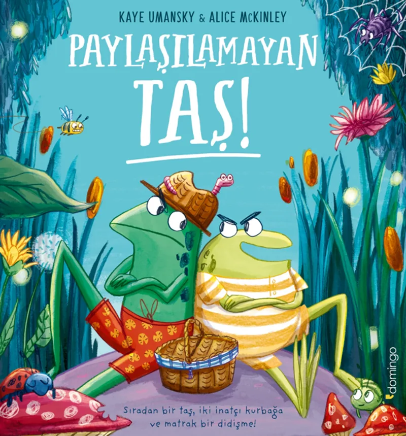 Paylaşılamayan Taş