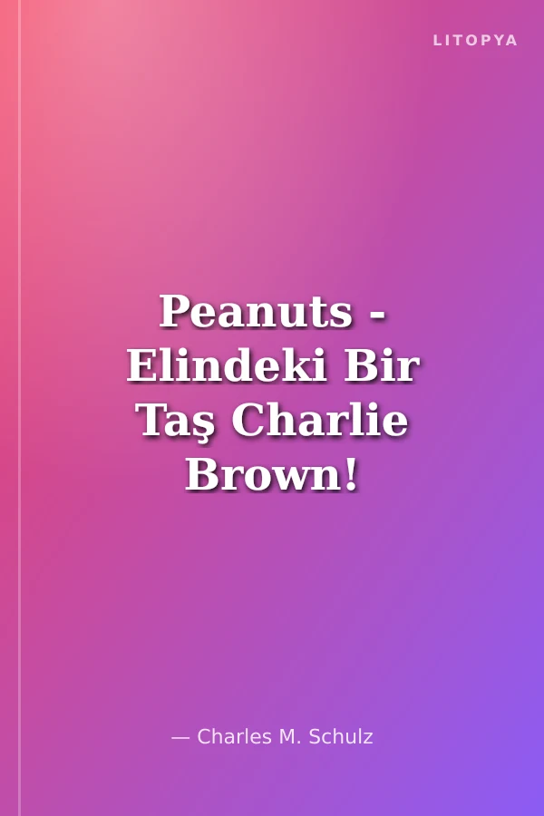 Peanuts - Elindeki Bir Taş Charlie Brown!