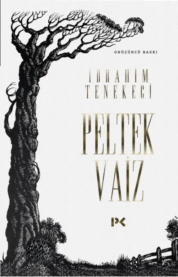 Peltek Vaiz