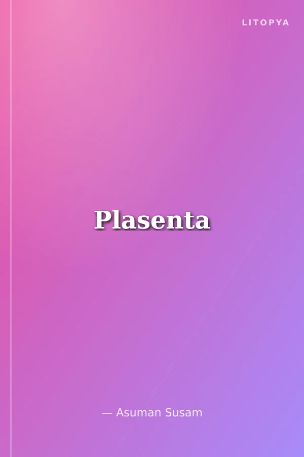 Plasenta