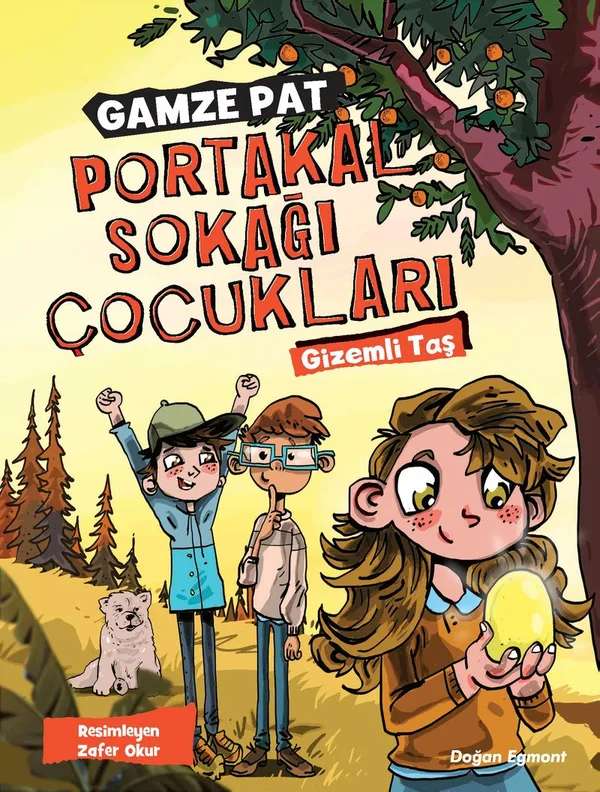 Portakal Sokağı Çocukları Gizemli Taş