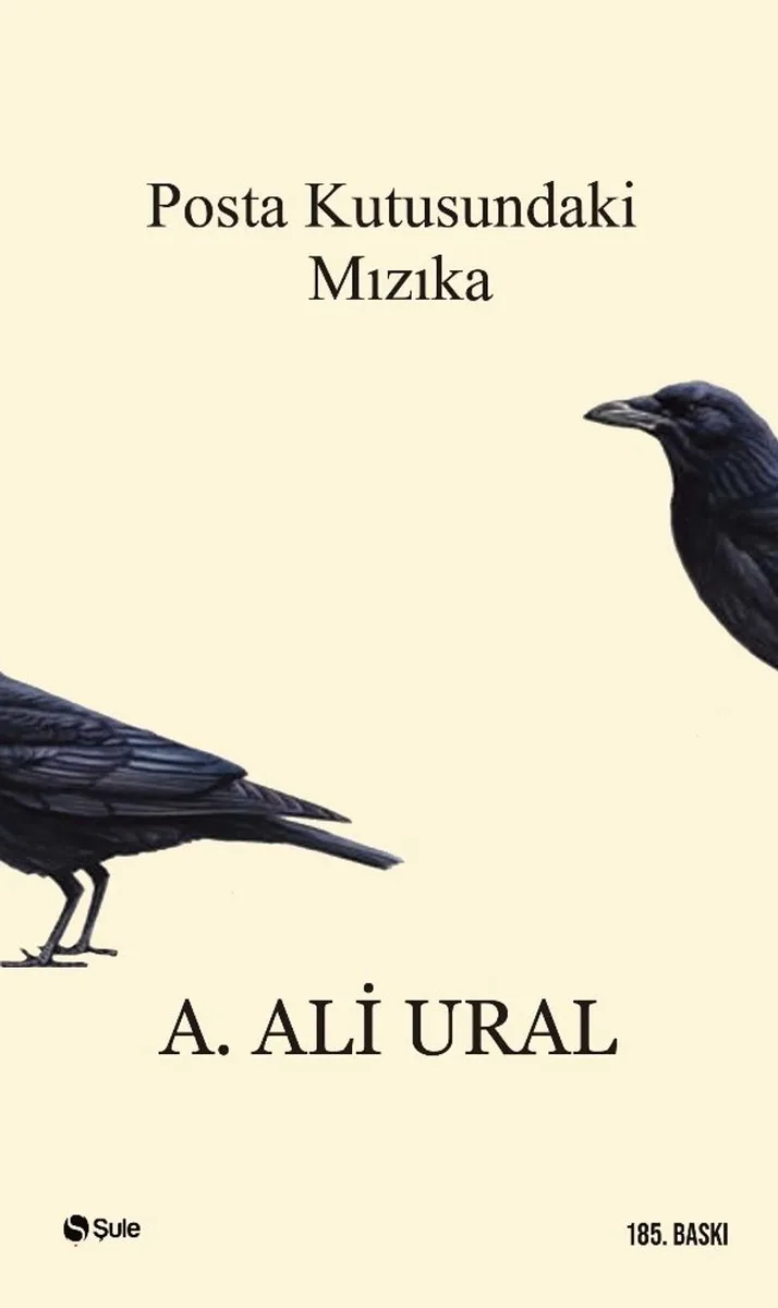Posta Kutusundaki Mızıka (Ciltsiz)