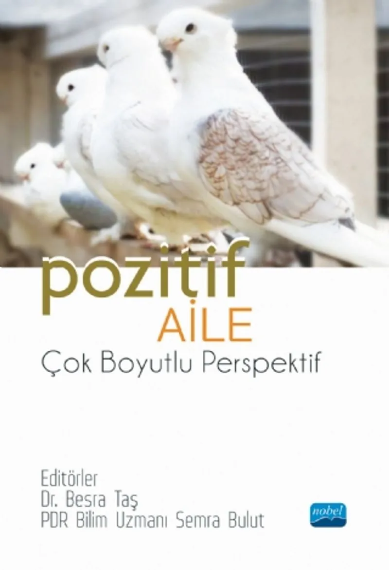 Pozitif Aile Çok Boyutlu Perspektif