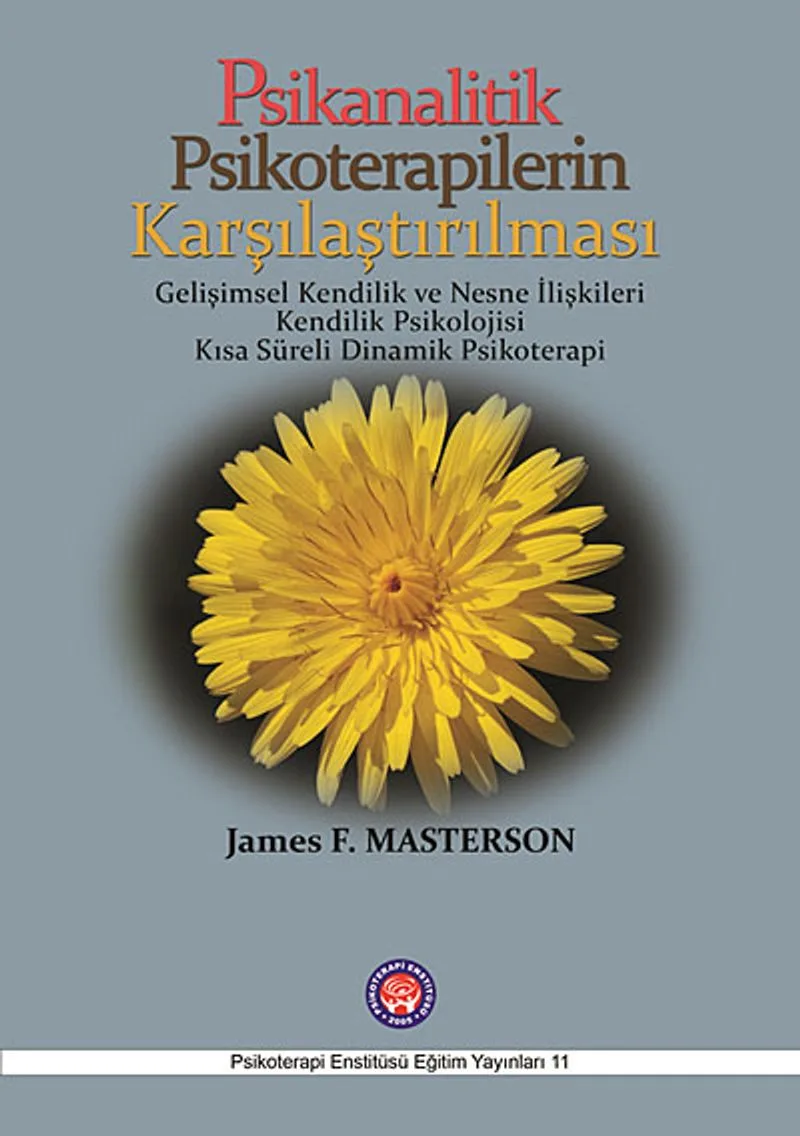 Psikanalitik Psikoterapilerin Karşılaştırılması Gelişimsel Kendilik ve Nesne İlişkileri Kendilik Psikolojisi Kısa Süreli Dinamik Psikoterapi