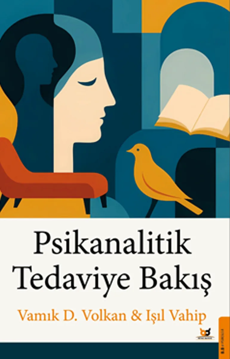Psikanalitik Tedaviye Bakış