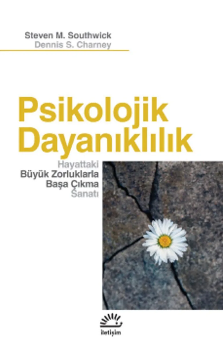 Psikolojik Dayanıklılık Hayattaki Büyük Zorluklarla Başa Çıkma Sanatı