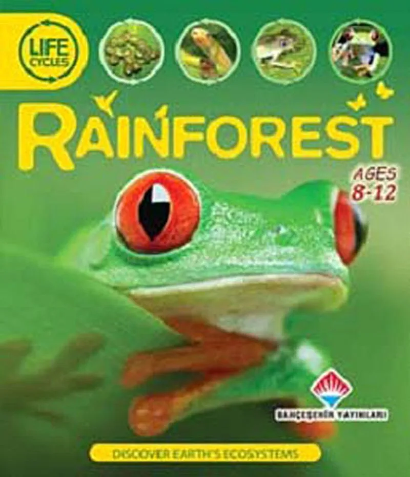 Rainforest