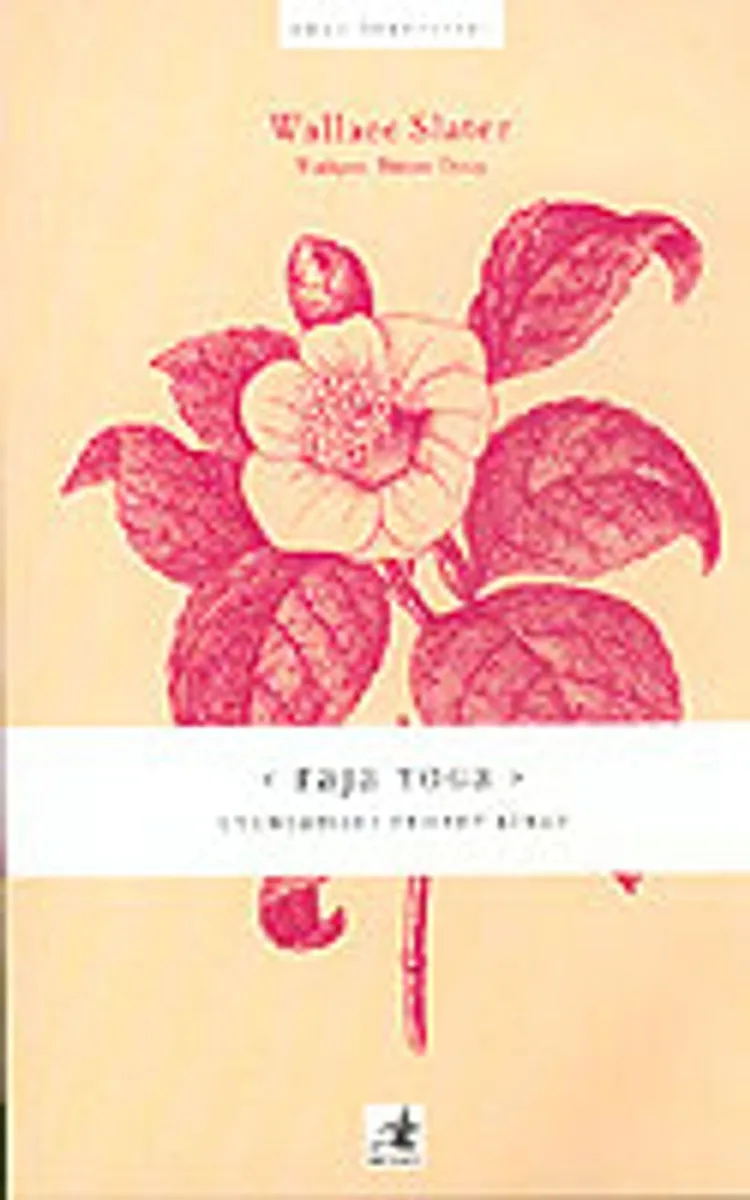 Raja Yoga Uygulamalı Rehber Kitap