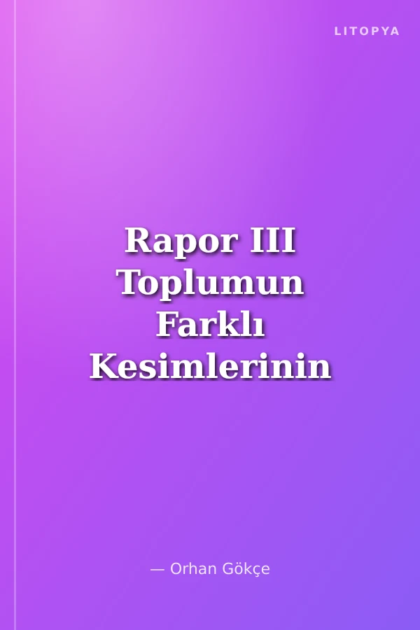 Rapor III Toplumun Farklı Kesimlerinin Algısı