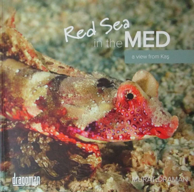 Red Sea in the Med