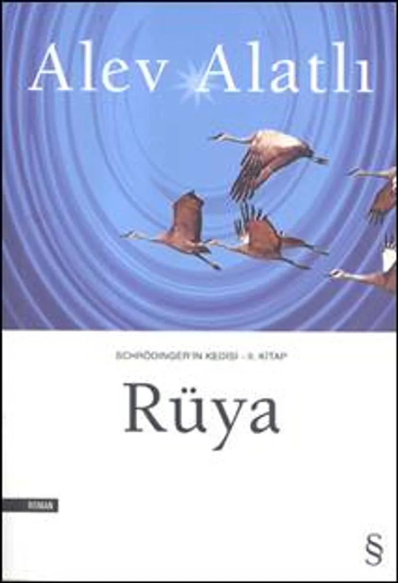 Rüya / Schrödinger'in Kedisi 2