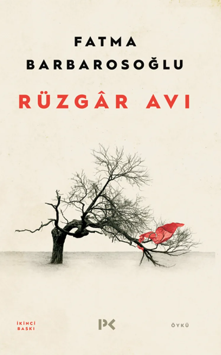 Rüzgar Avı