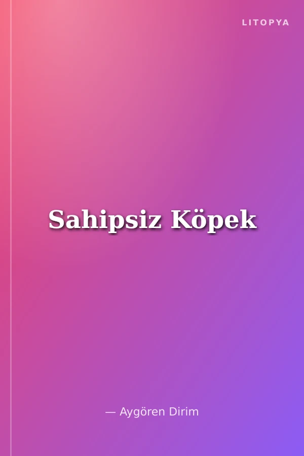 Sahipsiz Köpek