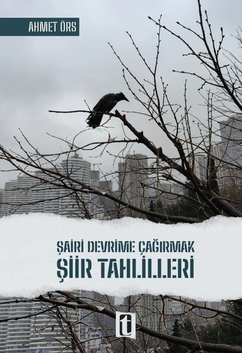 Şairi Devrime Çağırmak Şiir Tahlilleri