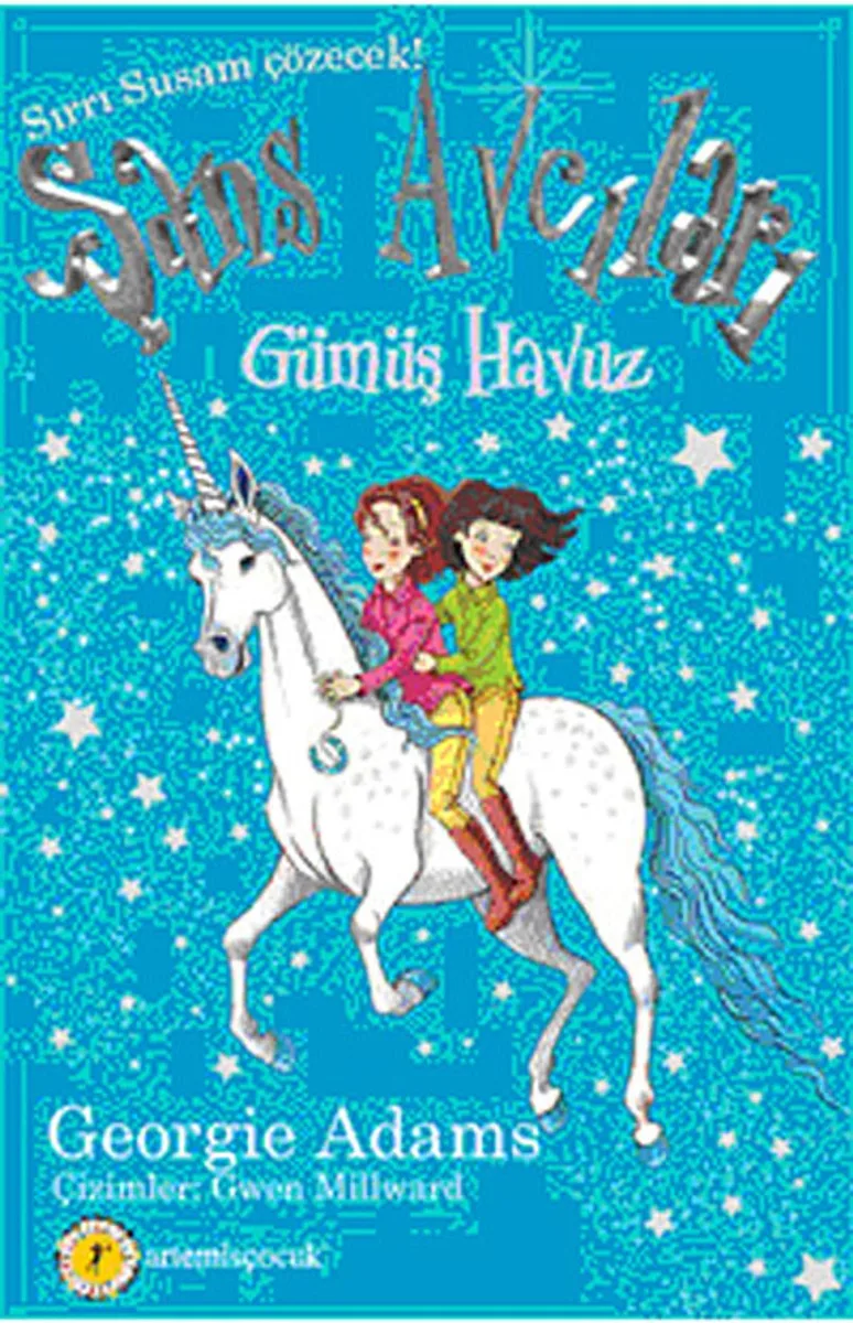 Şans Avcıları 2 / Gümüş Havuz