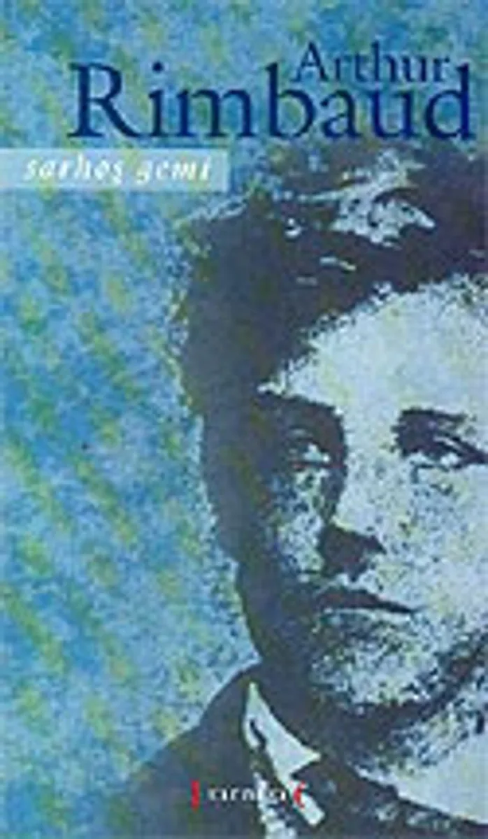 Sarhoş Gemi