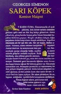 Sarı Köpek