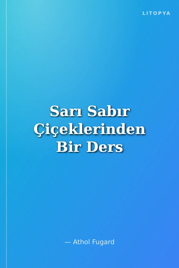 Sarı Sabır Çiçeklerinden Bir Ders